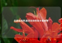 会昌交友网,能说出你的家乡是哪里