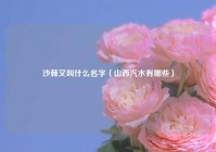 沙棘又叫什么名字（山西汽水有哪些）