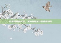 中国驾照翻译件，海外自驾出行的重要桥梁