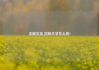 沈阳交友,沈阳大学怎么样?