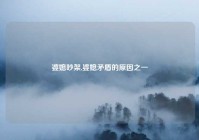 婆媳吵架,婆媳矛盾的原因之一