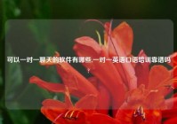 可以一对一聊天的软件有哪些,一对一英语口语培训靠谱吗?