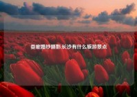 娄底婚纱摄影,长沙有什么旅游景点