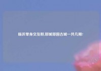 临沂单身交友群,郯城郯国古城一共几期?