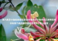 贾乃亮李小璐陪甜馨玩耍,如何看待李小璐将自己微博背景中和贾乃亮的婚纱照背景改为了默认背景