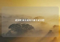 武汉吧,湖北随州不属于武汉吧?