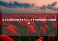 婆婆跟妈妈的差距有多大,农村婆婆和城市婆婆的区别有哪些