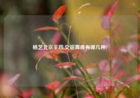 杨艺北京平四,交谊舞曲有哪几种?