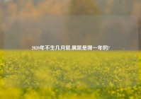 2020年不生几月鼠,属鼠是哪一年的?