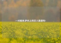 一对相亲,伊对上的女人靠谱吗?