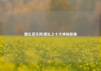 婚礼音乐网,婚礼上十大神仙歌曲