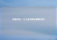 沈阳交友,一个人在沈阳去哪里交友?