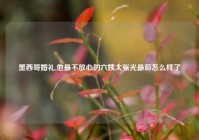 墨西哥婚礼,他最不放心的六姨太张光最后怎么样了