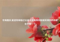 冬梅婚庆,夏洛特烦恼过去追求没有得到和现实得到的你更在乎那一个