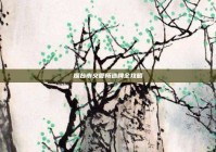 烟台市交管所选牌全攻略