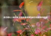 适合婚礼上唱的歌,结婚歌曲有哪些适合结婚用的歌曲?