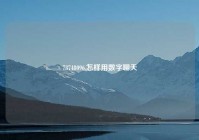 73748096,怎样用数字聊天