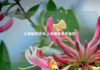 上海相亲活动,上海哪里相亲最好?