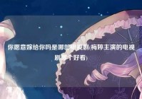 你愿意嫁给你吗是哪部电视剧(梅婷主演的电视剧哪个好看)