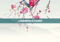 上海健康码的全方位解读