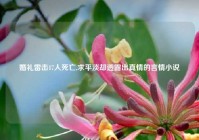 婚礼雷击17人死亡,求平淡却透露出真情的言情小说