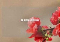 疆,歌曲万疆的由来