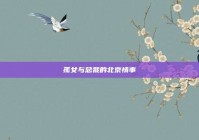 孤女与总裁的北京情事