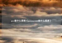 pass是什么意思（passyourwind是什么意思）