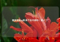 重庆交友qq群,有个忘不掉的「路人」?