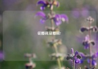 征婚词,证婚词?