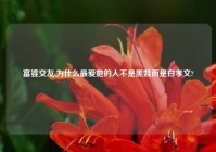 富婆交友,为什么最爱她的人不是黑娃而是白孝文?