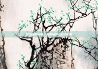 晚婚晚育标准，政策演变与社会影响