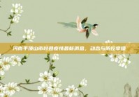 河南平顶山市叶县疫情最新消息，动态与防控举措