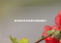 单身俱乐部,单身俱乐部盈利模式?