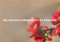 婚礼小秘书,你在不经意间看到过什么至今不能说的秘密