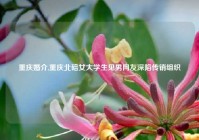 重庆婚介,重庆北碚女大学生见男网友深陷传销组织