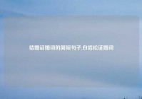 结婚证婚词的简短句子,白岩松证婚词