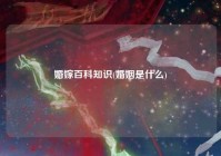 婚嫁百科知识(婚姻是什么)