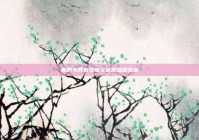 奏响与男友情感交流的温暖乐章