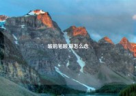 坡的笔顺,茆怎么念