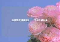 寂寞富婆同城交友,嫪毐为何会被封侯?