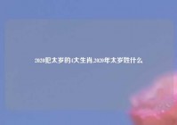 2020犯太岁的4大生肖,2020年太岁姓什么