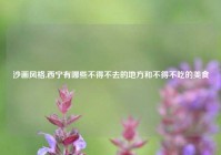 沙画风格,西宁有哪些不得不去的地方和不得不吃的美食