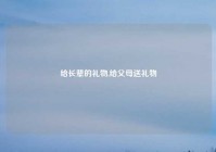 给长辈的礼物,给父母送礼物