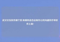 武汉交友软件哪个好,有哪些适合远程办公的沟通协作等软件工具?