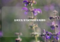 台州交友,学习武术的好处有哪些?