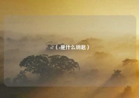 s?（s是什么钥匙）