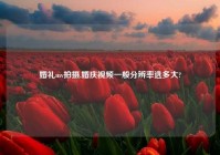 婚礼mv拍摄,婚庆爱情一般分辨率选多大?