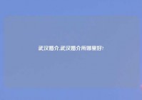 武汉婚介,武汉婚介所哪里好?