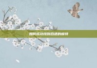 如何成功找到合适的模特